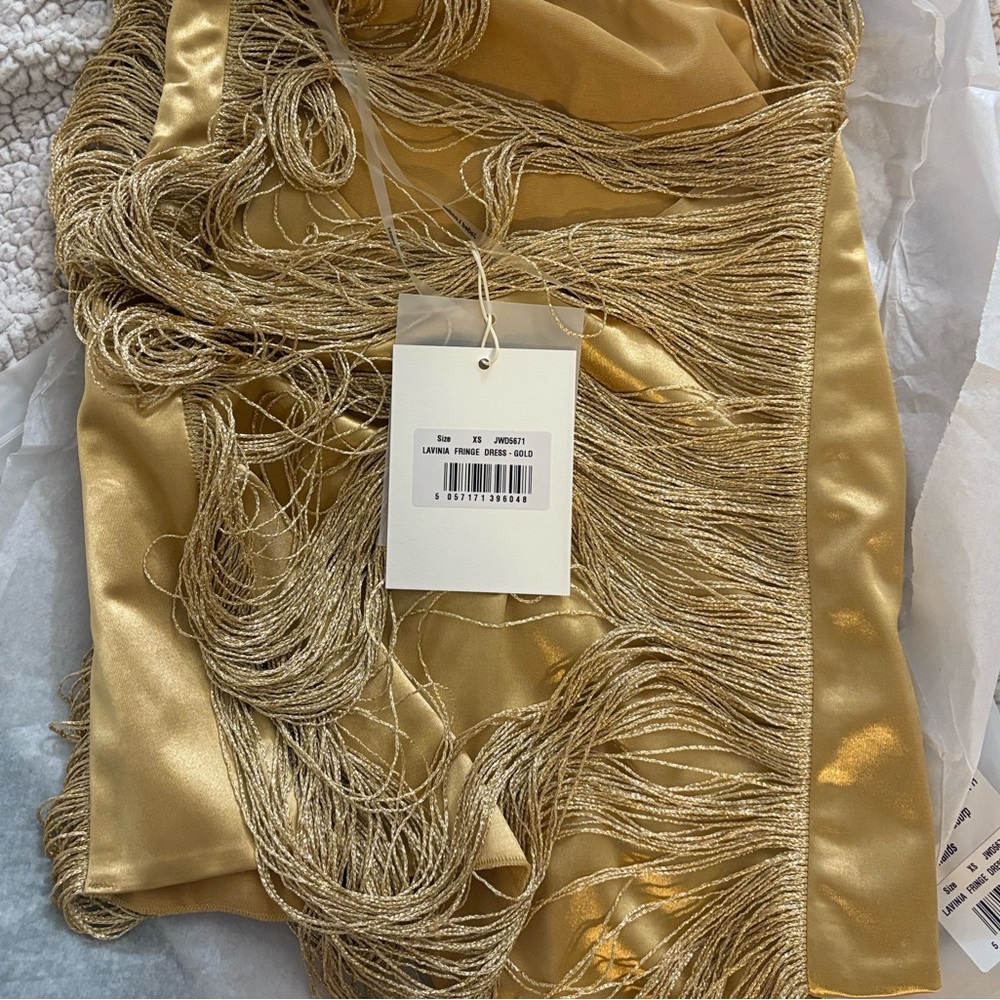 Jaded London Lavinia Backless Fringe Mini Dress in Gold - Picture 10 of 12